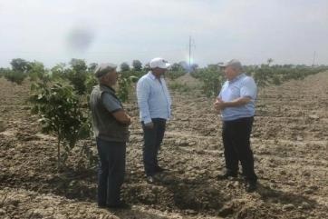 Площадь крупнейшего в России фундучного сада увеличат до 1 000 га.